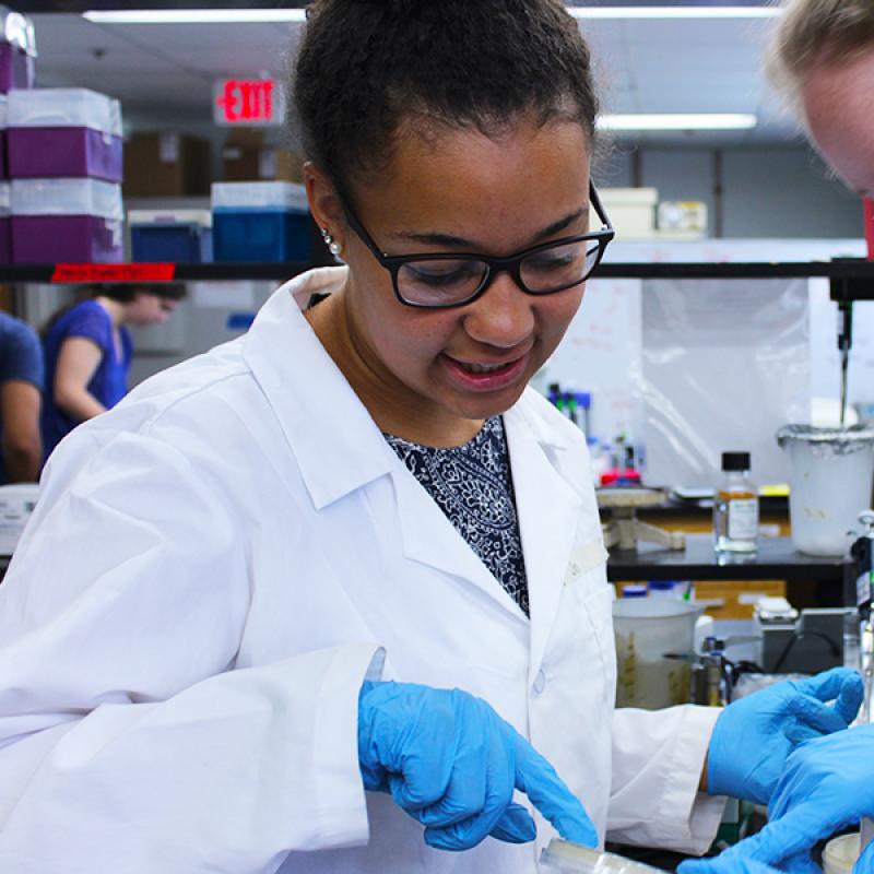 Students in lab for PHSC415