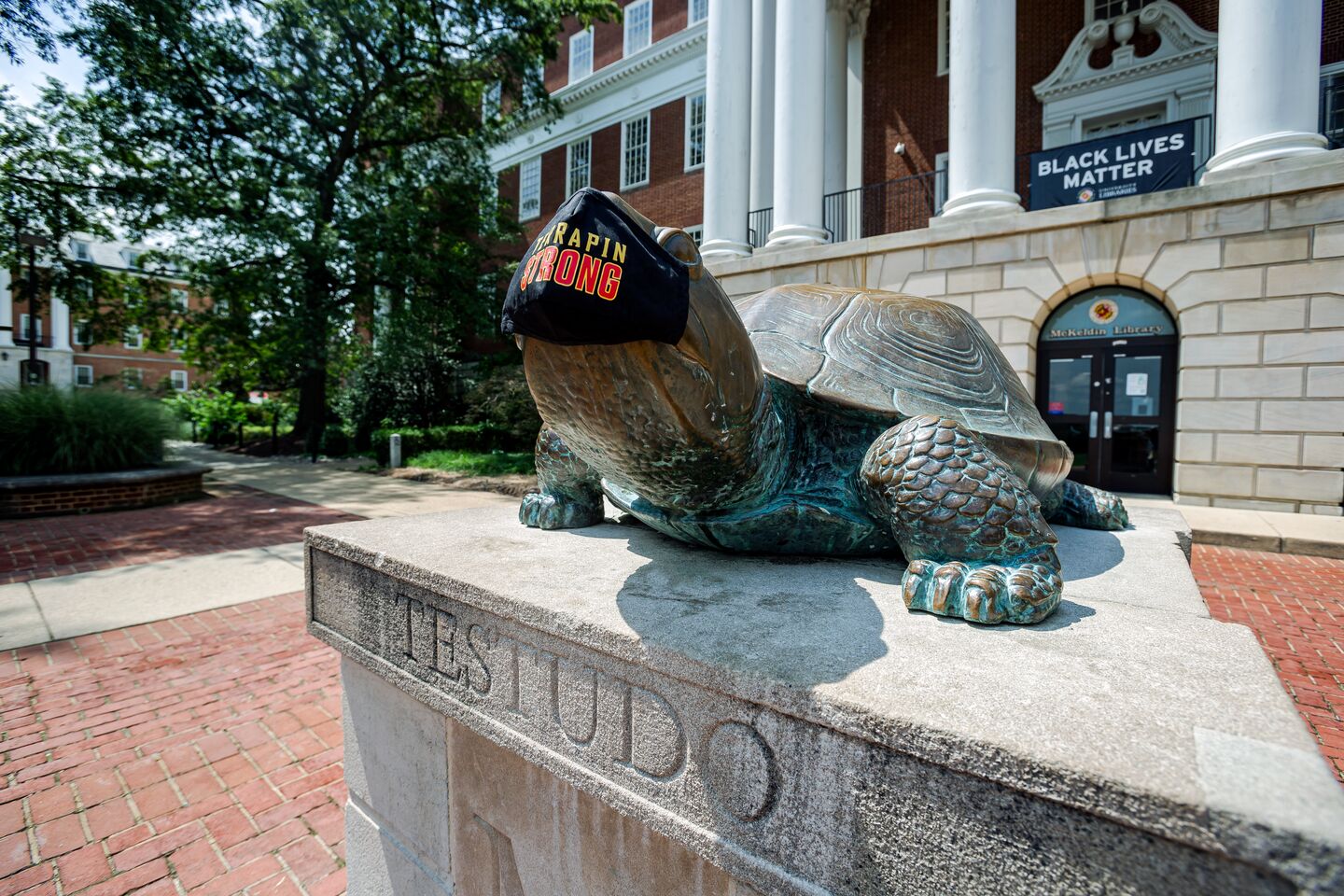 Testudo in mask in front of McKeldin Library at the University of Maryland