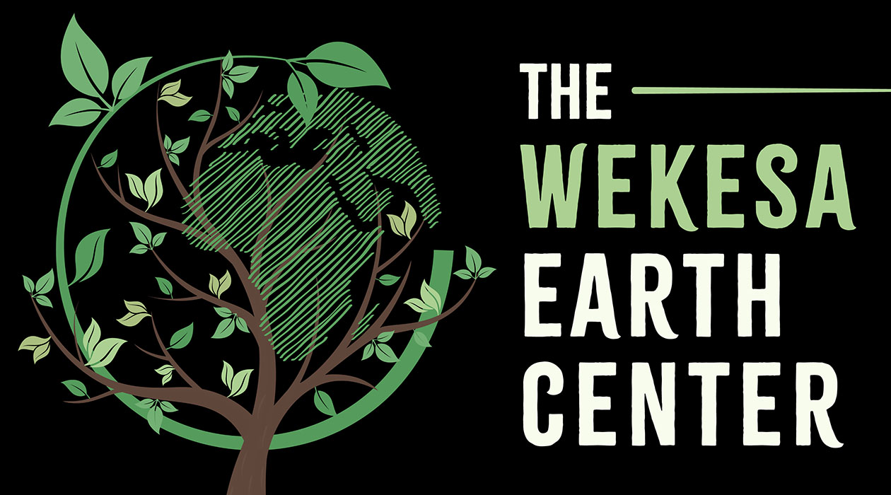 Illustration of a tree with the African continent inside of it. Words: The Wekesa Earth Center.