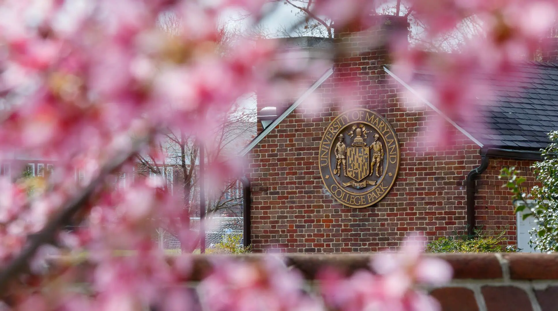 University of Maryland entrance checkpoint, focused on emblem with cherryblossoms unfocused within the frame