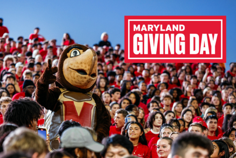 Testudo in a crowd