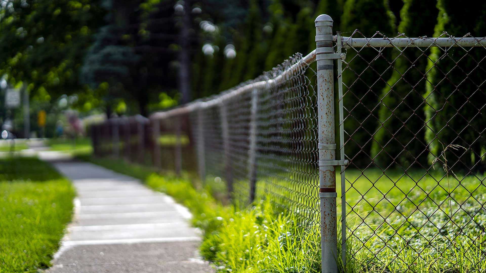 Neighborhood with a fenced yard