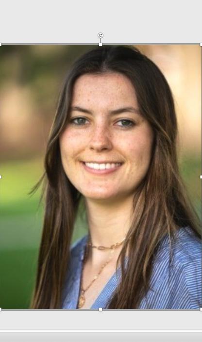 Verity White - PHSC399 student spotlight