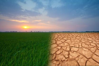 Climate change image showing contrast of green grass on one side and parched earth on the other 