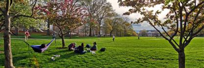 Students on the Mall at dusk as seen through trees. Student in a hammock between trees. 