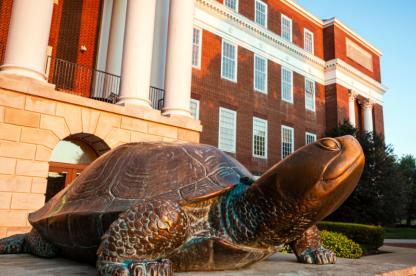 Testudo