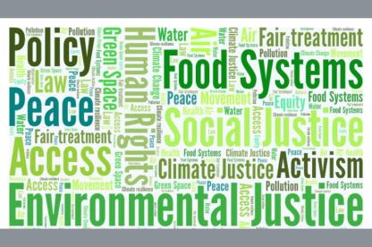 Word cloud for environmental justice and policy