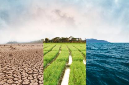 Composite image showing cracked, drought-stricken land, a green irrigated agricultural field, and a blue ocean, representing different water and environmental conditions.