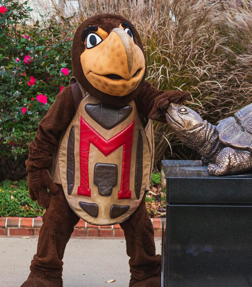 Testudo (Photo by Stephanie S. Cordle)