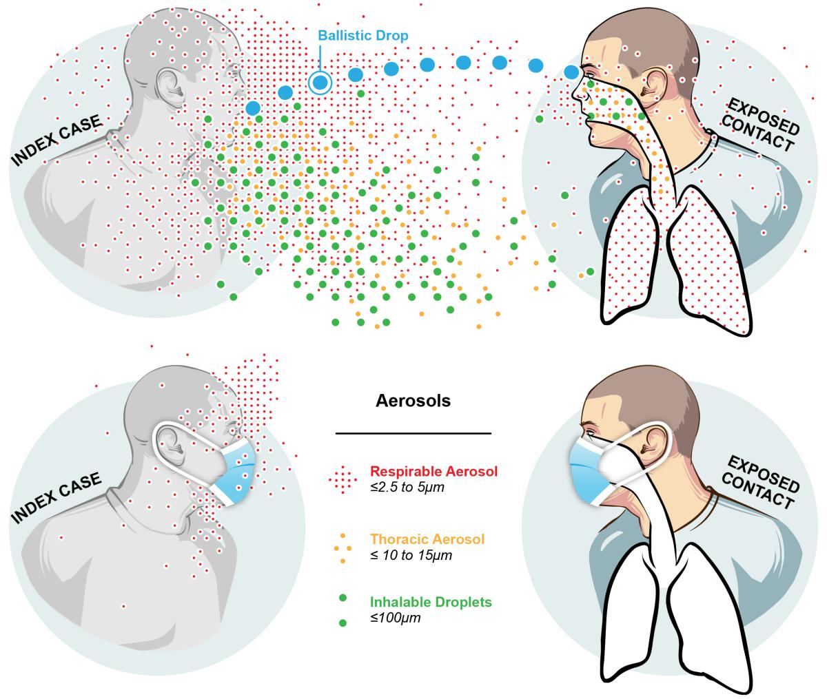 UMD StopCOVID illustration