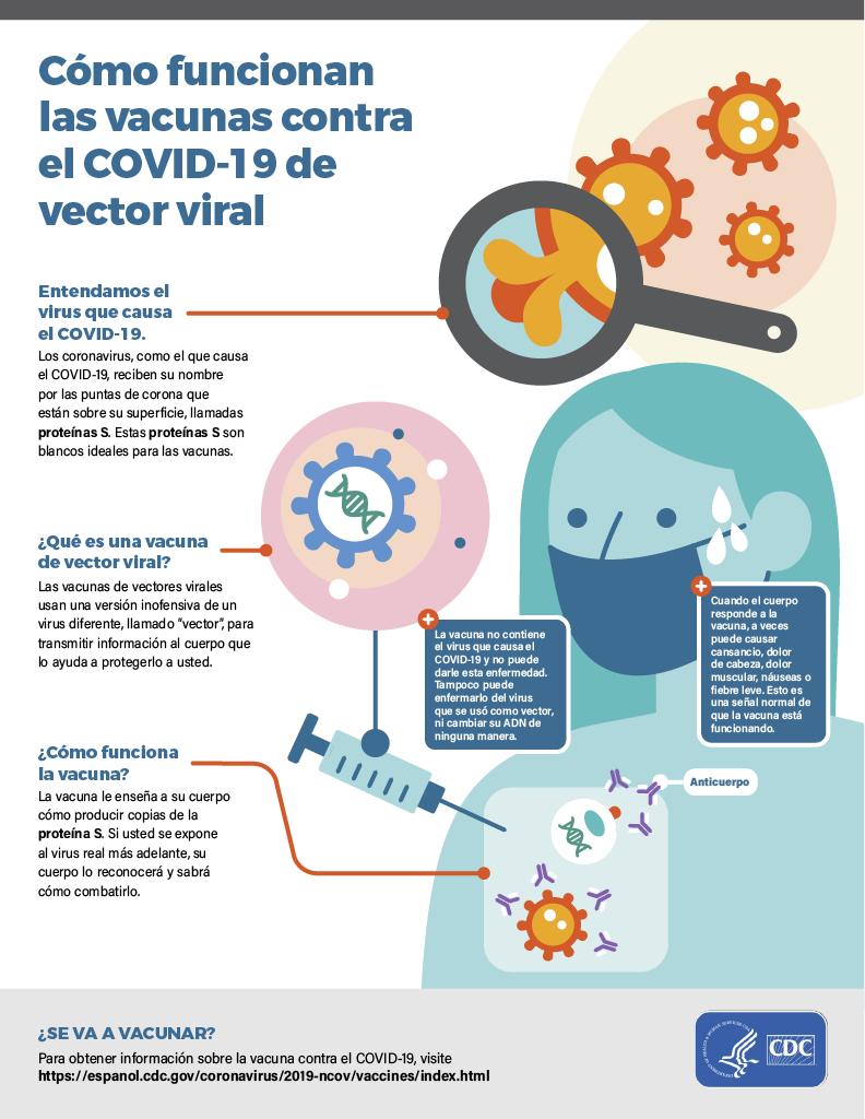 How Viral Vectors Work Spanish