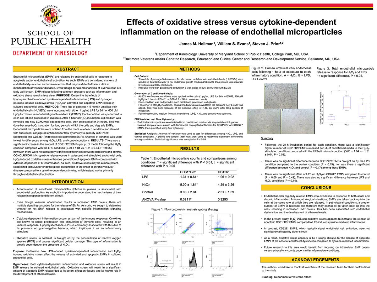 Effects of oxidative stress versus cytokine-dependent inflammation on the release of endothelial microparticles research poster