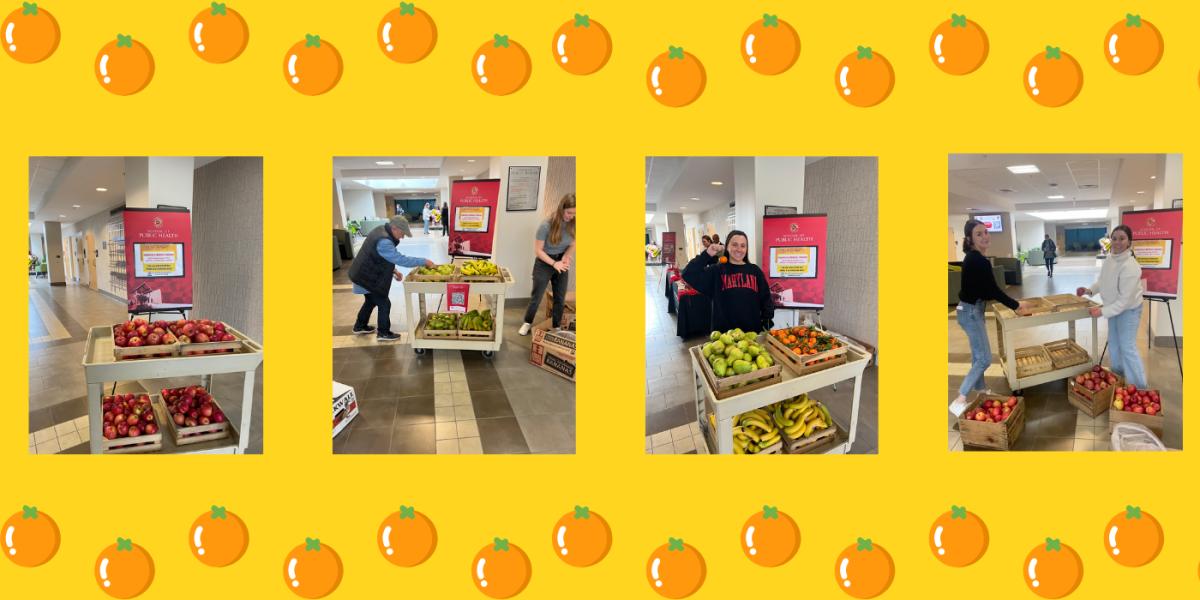 Collage of photos showcasing the fruit stand 