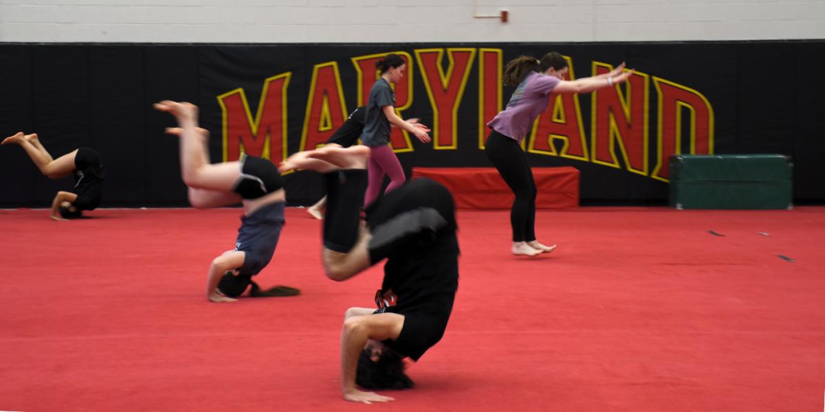 gymkana practice
