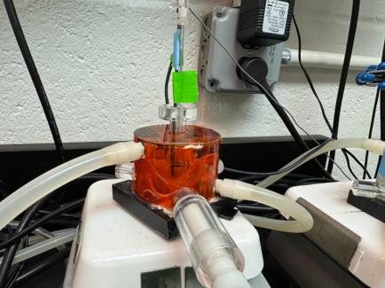 Mitochondrial respiration set-up