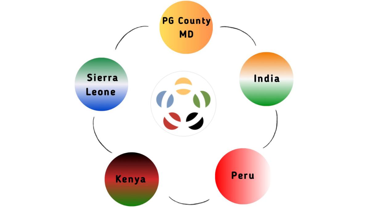 graphic showing 5 circles with country names and flags in them, with a logo for Public Health Beyond Borders in the middle, white background