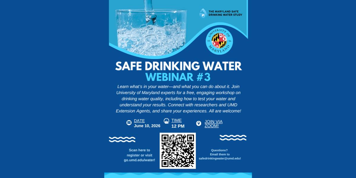 Flyer for the webinar