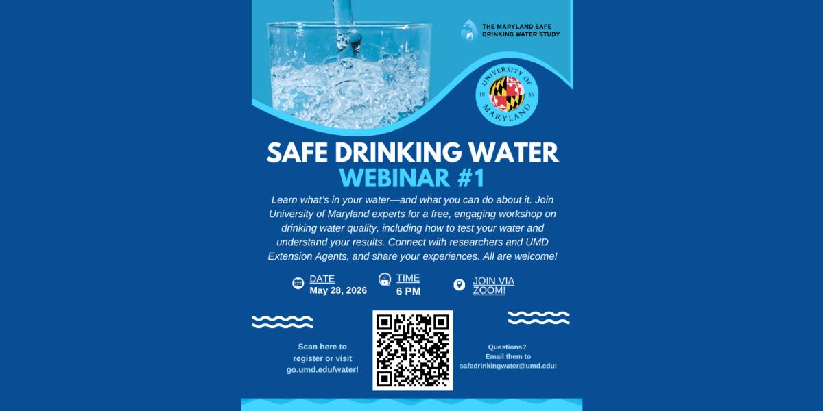 Flyer for the webinar