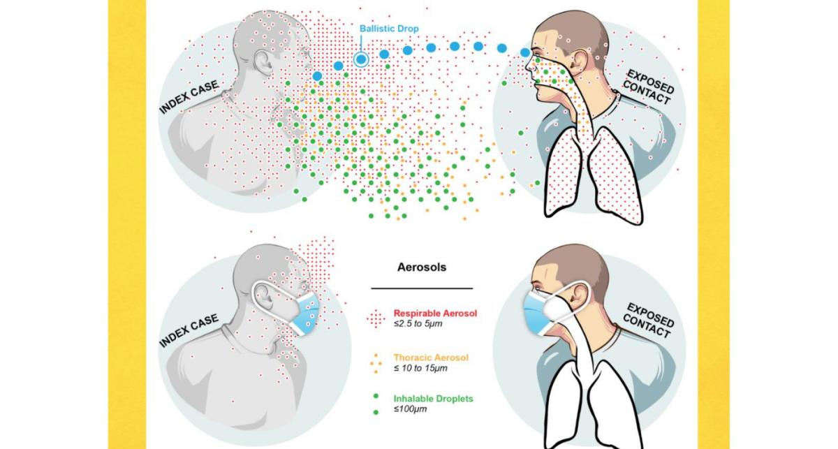 Graphic illustration showing four men, two are wearing masks, two are not, and graphics show how viral particles travel between lungs and mouths of the two men