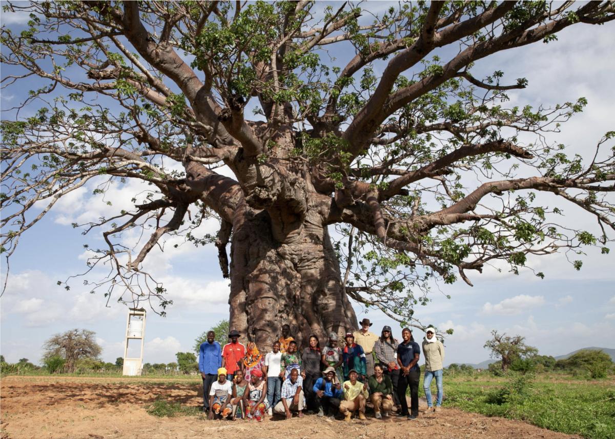 A group of people pose together at the base of a massive, sprawling tree in a rural landscape.