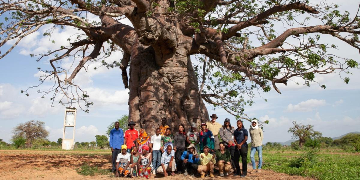 A group of approximately 12 people, some wearing African wraps and some wearing trousers and shirts, pose together smiling, in front of the wide trunk of a Baobab tree, with branches spreading out above either side, background is sky and green scrubland with a white water tower