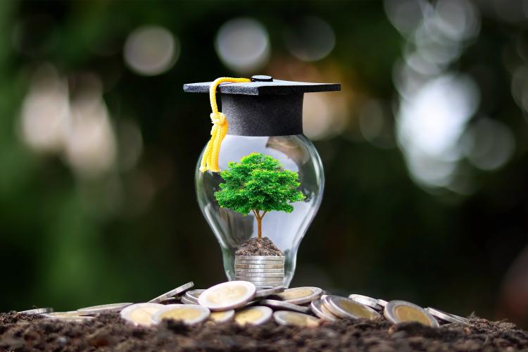 Scholarship stock image