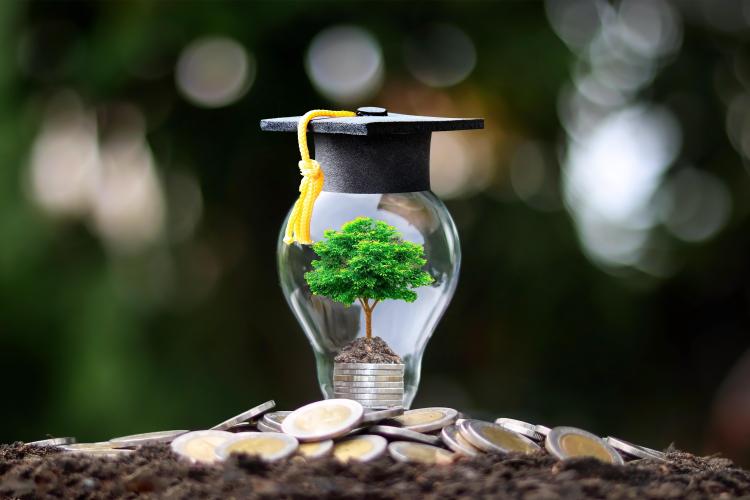 Miniature tree sits inside of a clear light blub. Light bulb has a black graduation cap with a gold tassel on top.