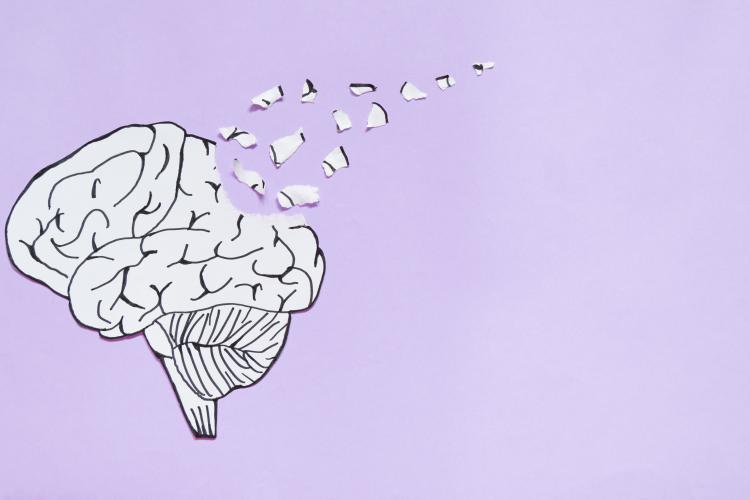 illustration of a brain in B&W with some parts dislodging and flying away