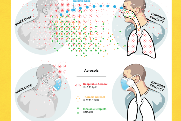 covid transmission graphic - PHAB lab