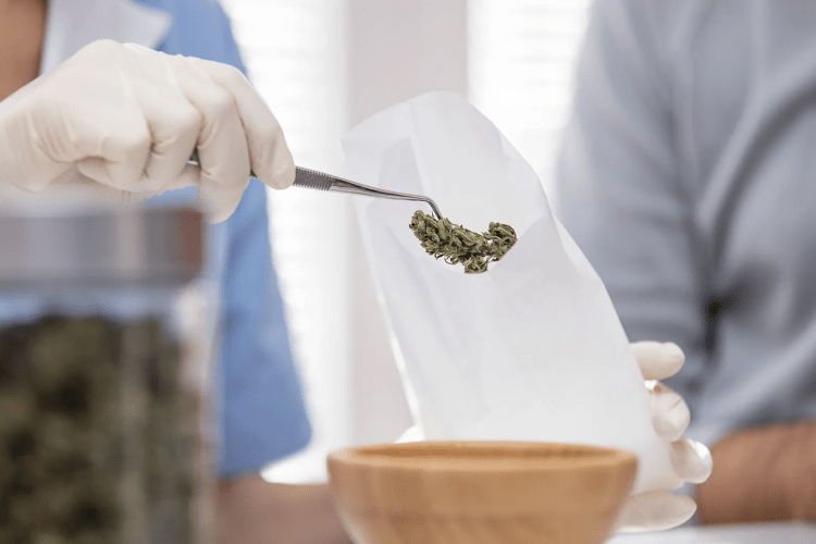 A white gloved hand holds a bud of marijuana with tongs, placing it in a bag