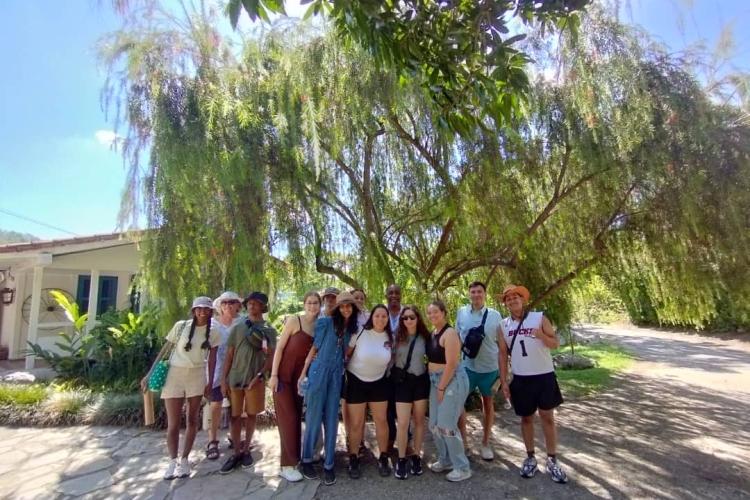 Group of students posing in front of a huge tree in Cuba, with sun shining behind casting shadows