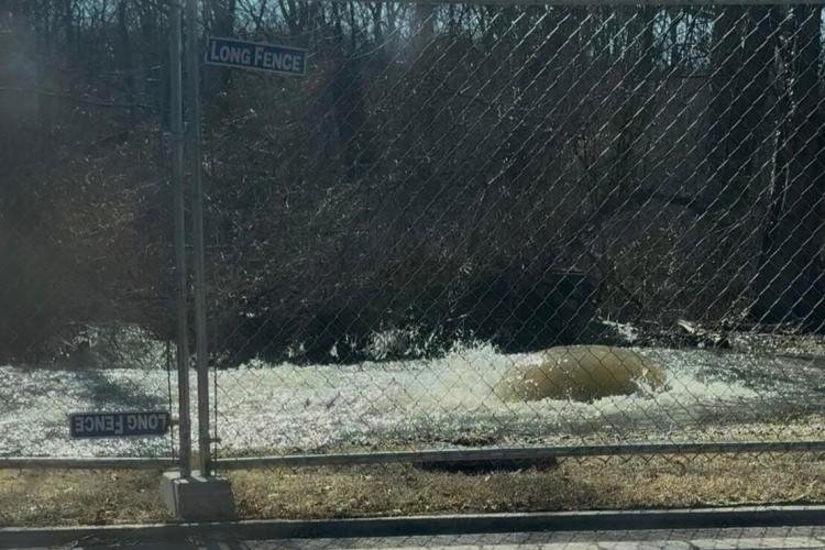 Raw sewage gushes out of a broken pipe, behind a fence