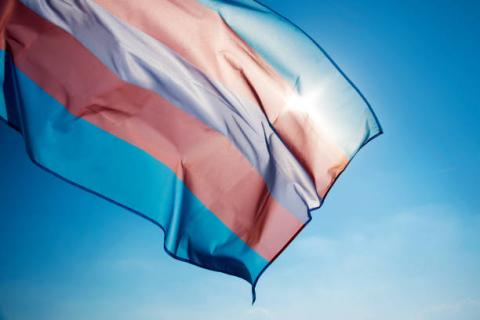 Gender Affirming Policies Support Transgender and Gender Diverse Youth’s Health 