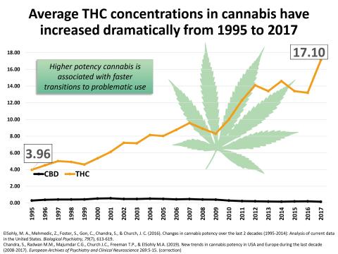 Chart showing increasing potency of cannabis over the years.