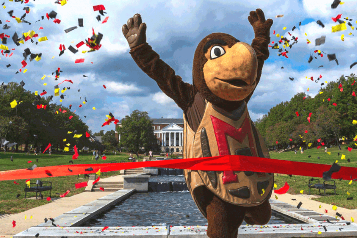 Testudo Celebrating
