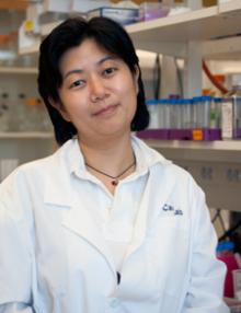 Kan Cao, faculty member at the University of Maryland