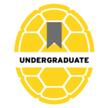 University of Maryland yellow Opaque Shell Icon titled Undergraduate