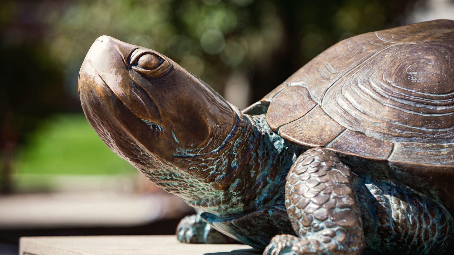 Testudo bronze statue in front of McKeldin Library.