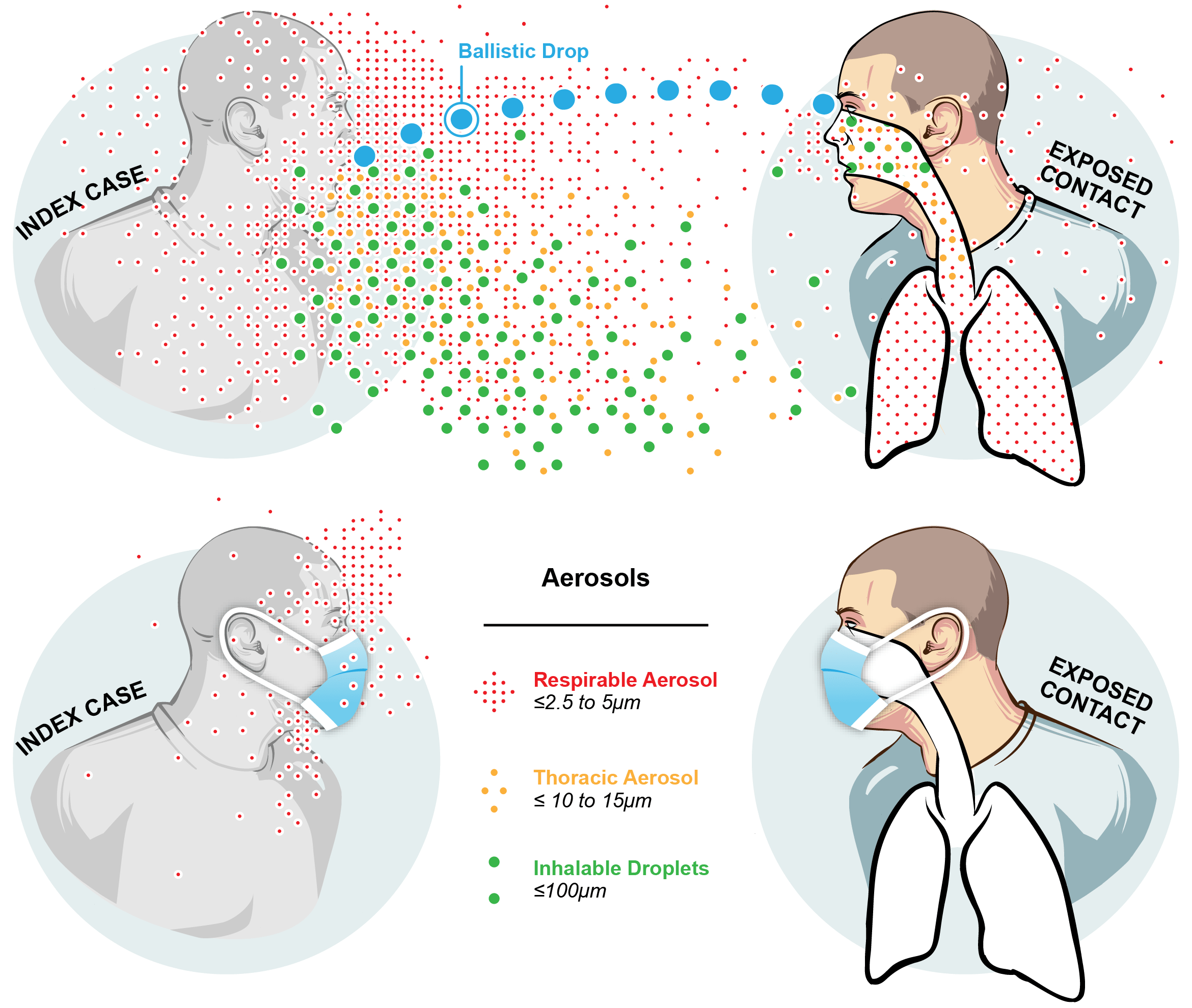 UMD StopCOVID illustration