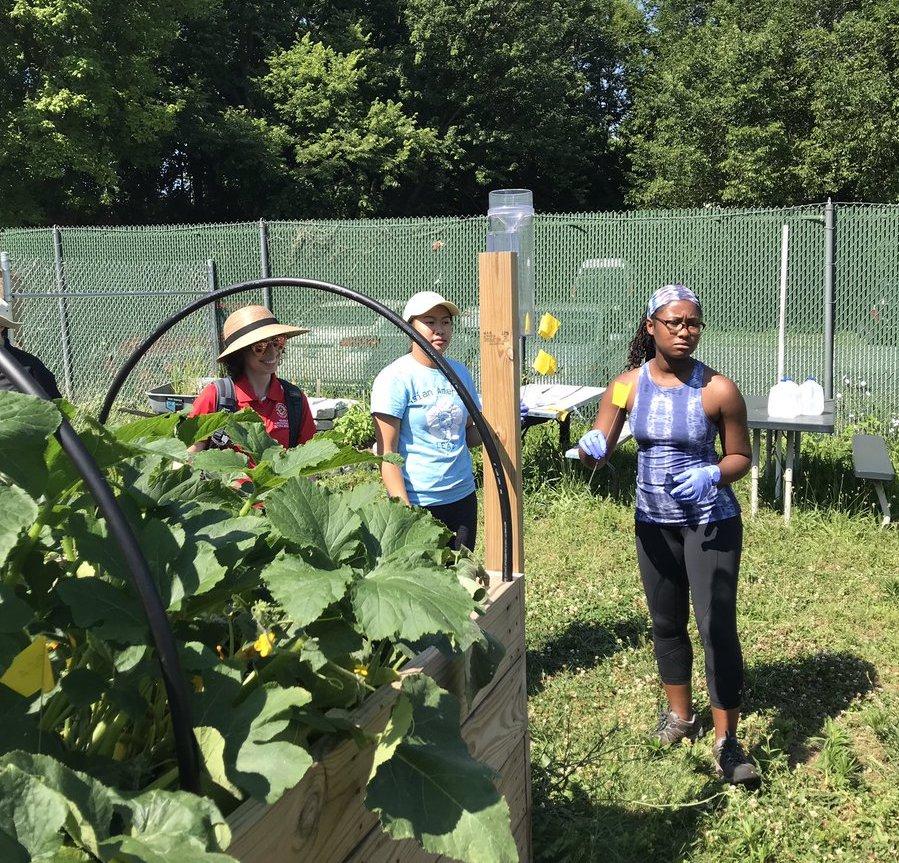 Water Quality, Outreach, and Wellness (WOW) Lab of the School of Public Health at the University of Maryland