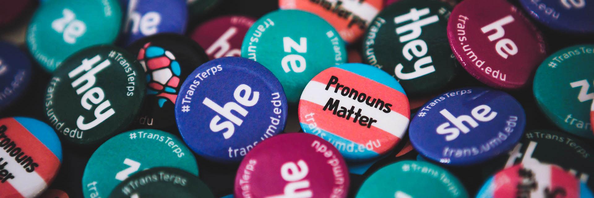 Pronoun buttons for LGBTQ Terps