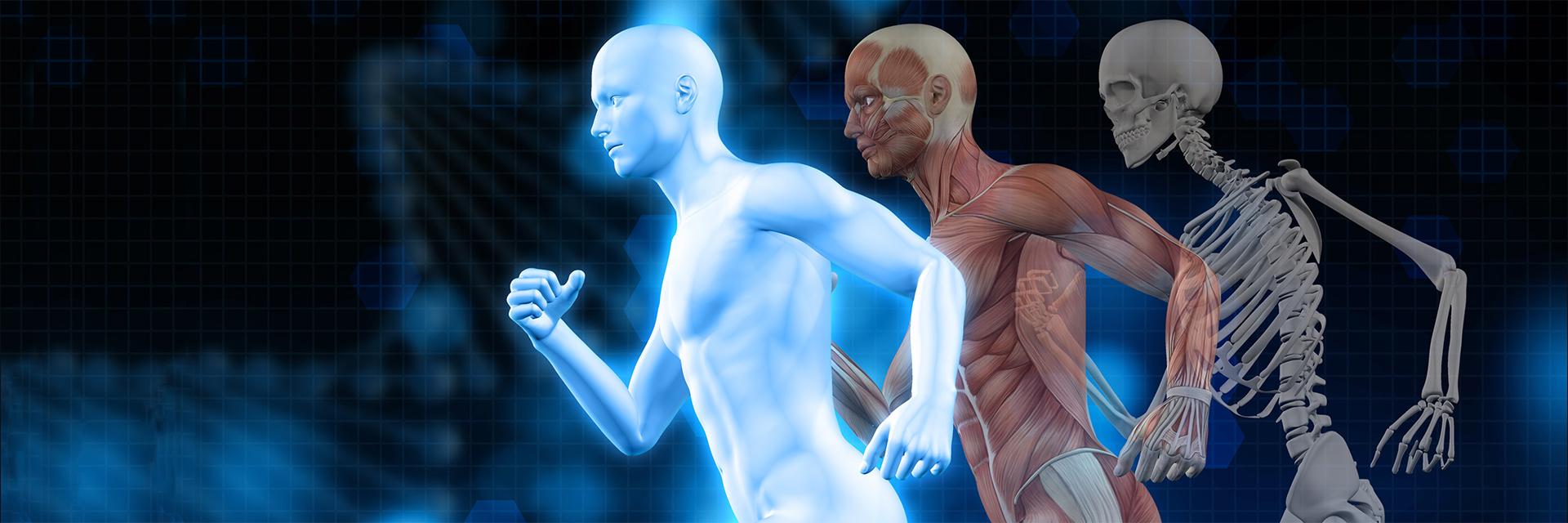 3D medical background, male figure running