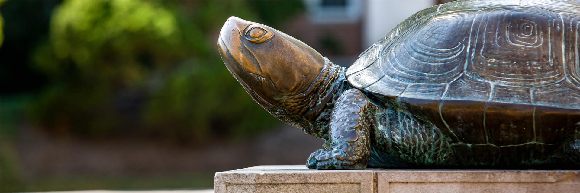 Side view of the Testudo statue in front of McKeldin Library.