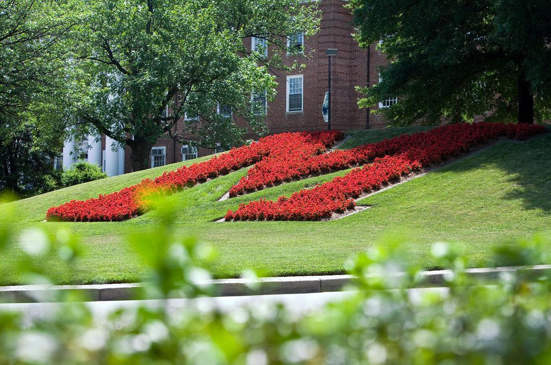 M Circle virtual background at the University of Maryland 