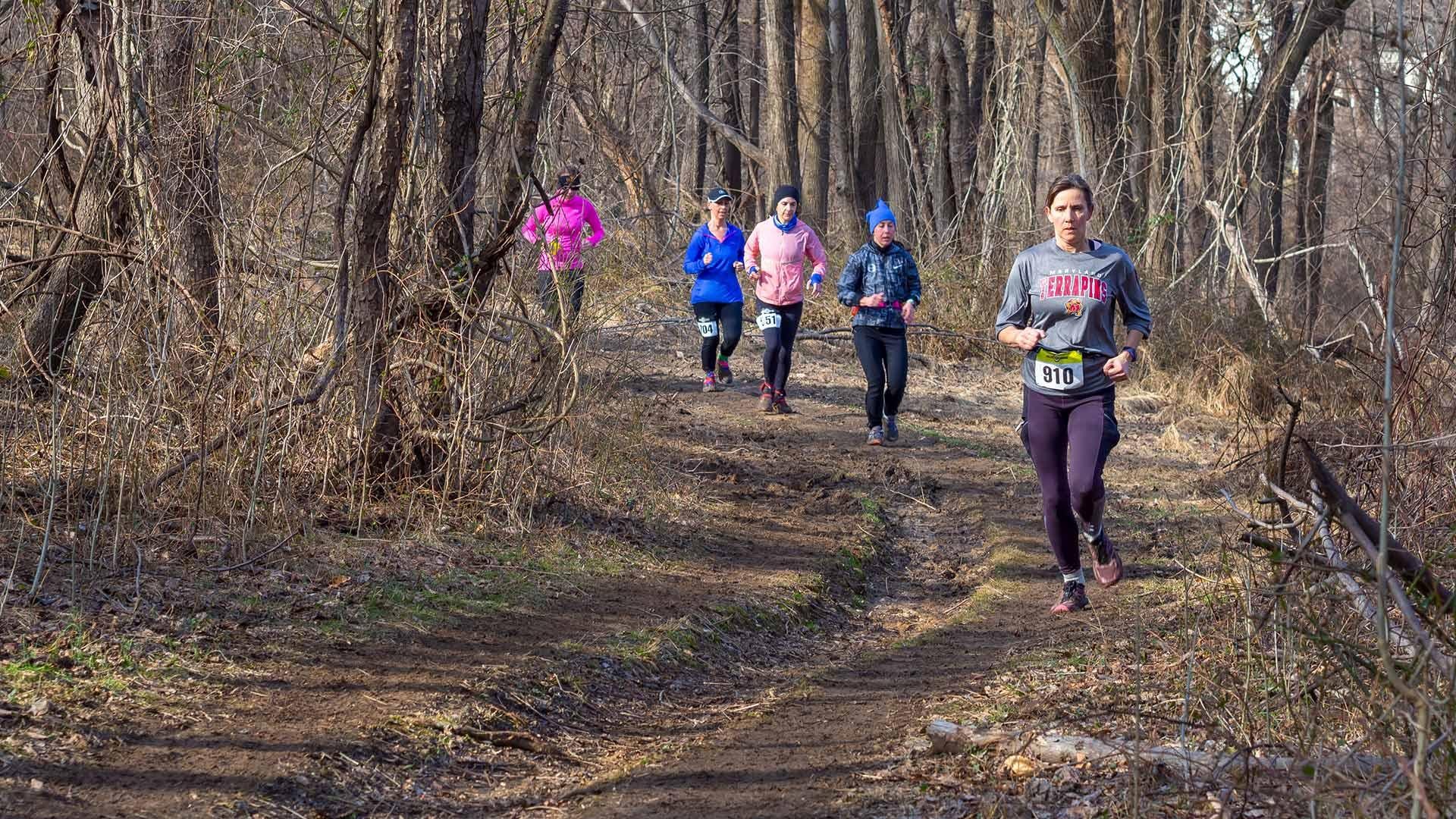 People running in the woods