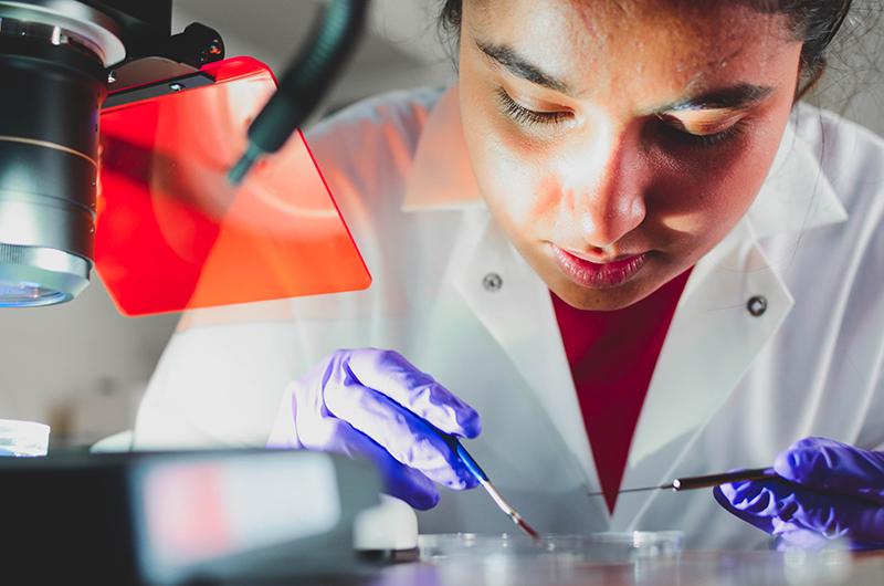 Student performing task in lab with petri dish and tools 