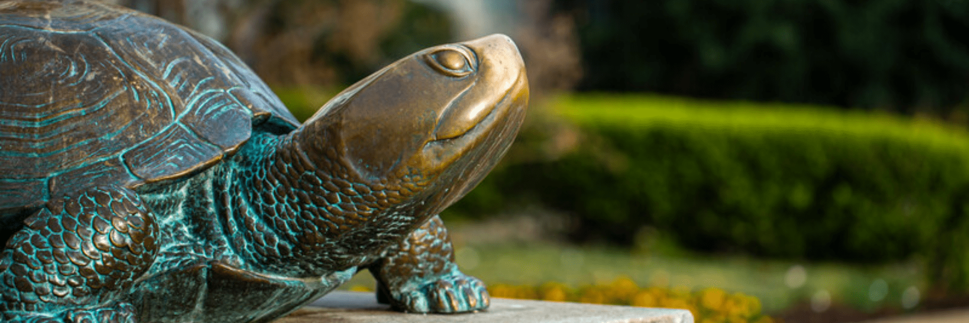 UMD Testudo Statue