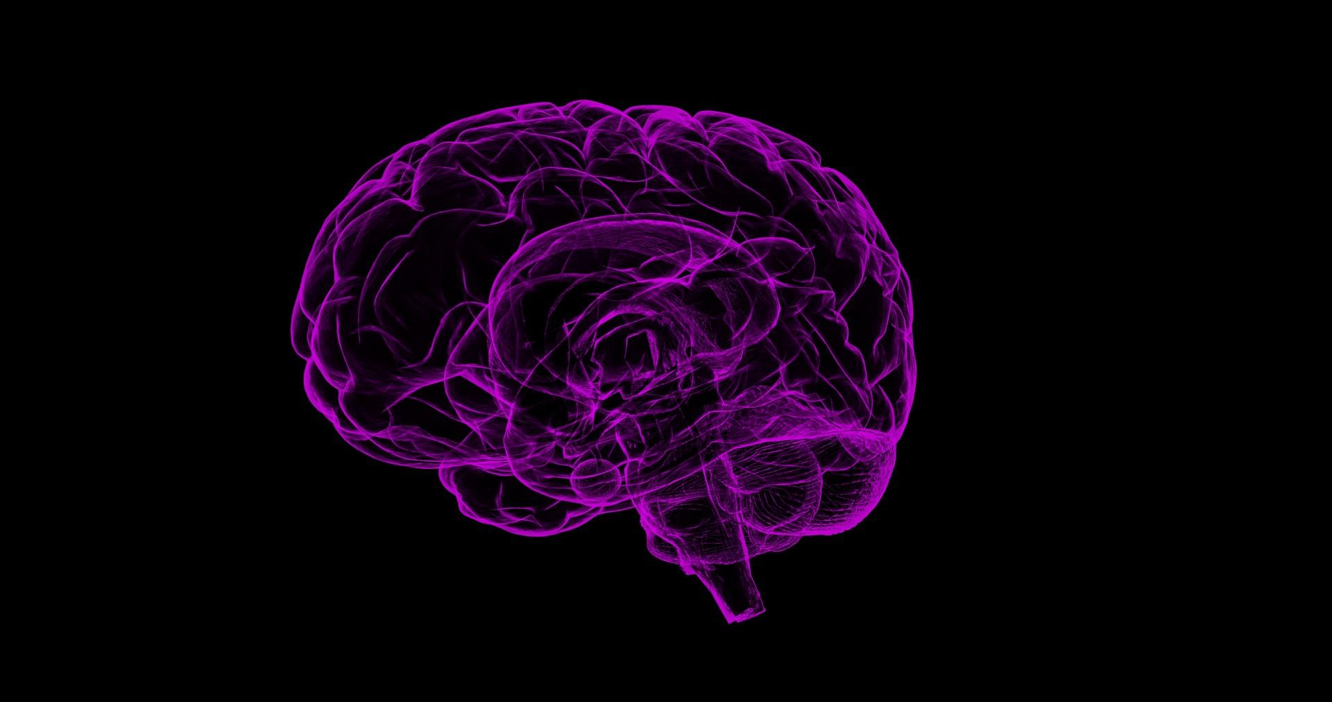neon purple outline of brain on black background