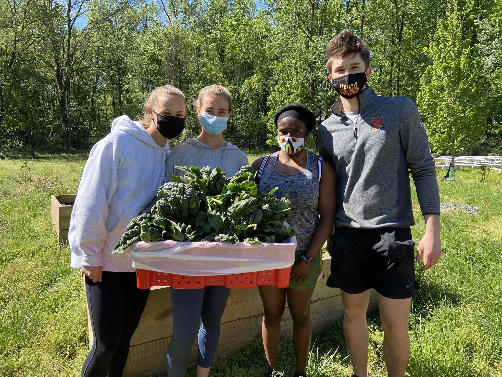 UMD students on Mona Center Urban Farm