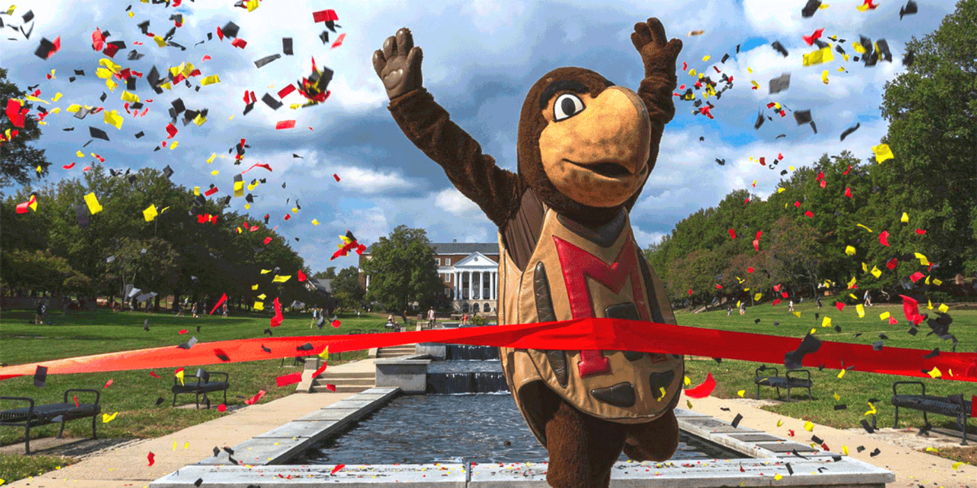 Testudo Celebrating